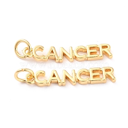 Brass Pendants, with Jump Rings, Long-Lasting Plated, Constellation/Zodiac Sign, Golden, Cancer, Cancer: 4x22.5x1.5mm, Hole: 3mm(KK-J276-14A)