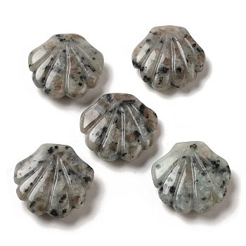 Natural Sesame Jasper Carved Healing Shell Figurines, Reiki Energy Stone Display Decorations, 30~30.5x30x8~8.5mm