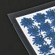Pressed Dried Flowers(DIY-K032-58J)-3
