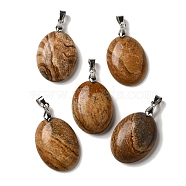 Natural Picture Jasper Pendants, Oval Charms with Rack Plating Platinum Plated Brass Snap on Bails, 30x21.5~22x6~6.5mm, Hole: 6x4mm(G-Z055-03P-25)