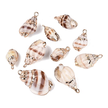Electroplate Natural Spiral Shell Pendants, Conch Shell Charms with Golden Tone Iron Loops & Brass Edge Findings, Peru, 15.5~25x8~16x6.5~13mm, Hole: 1.6~1.8mm