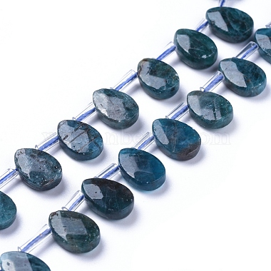 Natural Apatite Beads Strands(G-G805-B02)-2