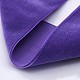Polyester Velvet Ribbon for Gift Packing and Festival Decoration(SRIB-M001-10mm-465)-2