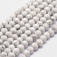 Natural Howlite Beads Strands, Faceted, Round, 4mm, Hole: 1mm, about 96pcs/strand, 14.9 inch~15.1 inch(X-G-D840-44-4mm)