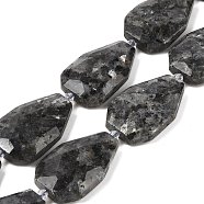 Natural Larvikite Beads Strands, Faceted Teardrop, 36~40x24~26x9.5~10.5mm, Hole: 2mm, about 9pcs/strand, 14.96''(38cm)(G-P548-B23-01)