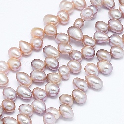 Natural Cultured Freshwater Pearl Beads Strands, Potato, Antique White, 7~10x6~7mm, Hole: 0.8mm, about 65pcs/strand, 13.7 inch(35cm)(PEAR-G004-01B-01)