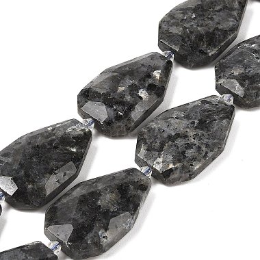 Teardrop Larvikite Beads