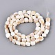 Natural Freshwater Shell Beads Strands(BSHE-T014-51A)-2