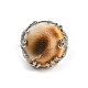 Half Round Natural Shell Finger Rings(RJEW-P128-05P)-2