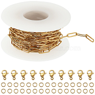DIY Chain Bracelet Necklace Making Kit, Including 304 Stainless Steel Paperclip Chains & Clasps & Jump Rings, Golden, Chain: 16.4 Feet(5m)/bag(CHS-SC0001-03G)