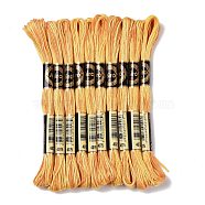 10 Skeins 6-Ply Polyester Embroidery Floss, Cross Stitch Threads, Segment Dyed, Goldenrod, 0.5mm, about 8.75 Yards(8m)/skein(OCOR-K006-A29)