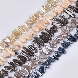 Electroplate Shell Pearl Beads Strands, Chip, Mixed Color, 6~13x10~36x3~7mm, Hole: 1mm, about 38~42pcs/strand, 13.7 inch(SSHEL-S261-01)