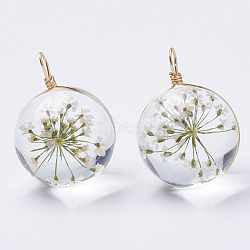 Glass Pendants, with Dried Flower Inside & Brass Findings, Round, Golden, Beige, 19x14mm, Hole: 2mm(X-GLAA-Q070-002B-01)