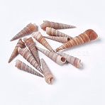 Natural Conch, Fish Aquarium Decoration, Beach Concha Sea Shell Craft, Camel, 30~95x7~19mm(DIY-WH0097-01)