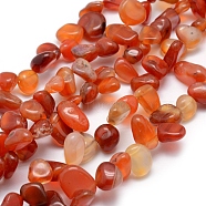 Natural Carnelian Beads Strands, Nuggets, Orange Red, 11~22x8~11x4~10mm, Hole: 1mm, 15.3 inch(39cm)(G-K220-32B)