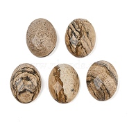 Natural Picture Jasper Cabochons, Oval, 20x15x6.5mm(G-Q186-01C)