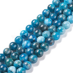 Natural Apatite Beads Strands, Round, 8mm, Hole: 1mm, about 49pcs/strand, 15.5 inch(39.5cm)(G-F617-01-8mm)