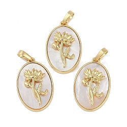 Rack Plating Brass Pave Shell Oval Pendants, Birth Flower Charms, Real 18K Gold Plated, Long-Lasting Plated, Lead Free & Cadmium Free, Seashell Color, 25.5x16x4.5~5.5mm, Hole: 5.5x3mm(KK-U032-92G-04)