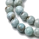 Natural Larimar Beads Strands(G-B156-A01-6mm)-4