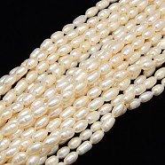 Natural Cultured Freshwater Pearl Beads Strands, Rice, Creamy White, 6~7mm, Hole: 0.8mm, about 38pcs/strand, 13.77 inch~14.17 inch(PEAR-L001-16)
