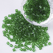 6/0 Two Cut Glass Seed Beads, Hexagon, Transparent Colours, Green, 3.5~5x3.5~4mm, Hole: 1mm, about 4500pcs/bag(SEED-S033-11B-04)