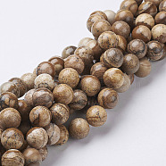 Natural Gemstone Beads Strands, Picture Jasper, Round, 12mm, Hole: 1mm, about 28pcs/strand, 15.5 inch(GSR12mmC016)