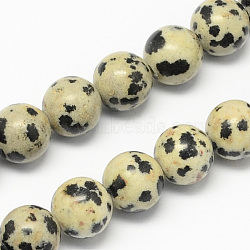 Natural Dalmatian Jasper Stone Bead Strands, Round, 4mm, Hole: 0.5mm, about 95pcs/strand, 14.9 inch(X-G-R193-14-4mm)