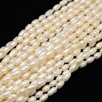Natural Cultured Freshwater Pearl Beads Strands, Rice, Creamy White, 6~7mm, Hole: 0.8mm, about 38pcs/strand, 13.77 inch~14.17 inch