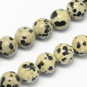 Natural Dalmatian Jasper Stone Bead Strands, Round, 4mm, Hole: 0.5mm, about 95pcs/strand, 14.9 inch