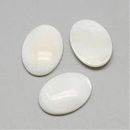 Freshwater Shell Cabochons, Oval, Seashell Color, 25x18x4~5mm(SSHEL-R042-29)