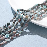 Natural Larimar Beads Strands, Nuggets, 6.5~9.5x5.5~7.5x3.5~5.5mm, Hole: 0.8mm, about 50pcs/Strand, 15.67 inch(39.8cm)(X-G-D0002-B38)