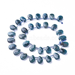 Natural Apatite Beads Strands, Top Drilled Beads, Faceted, Teardrop, 12~13x8.5x3~4mm, Hole: 0.6mm, about 32pcs/Strand, 15.55 inch(39.5cm)(G-G805-B02)
