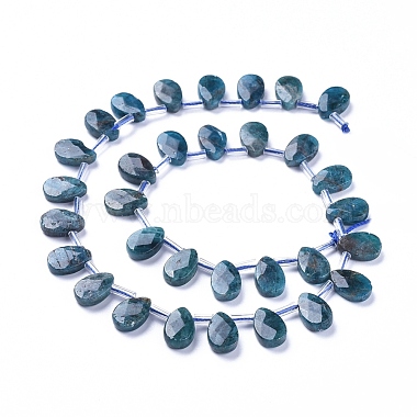 12mm Teardrop Apatite Beads