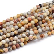 Natural Gemstone Round Bead Strands, Crazy Agate, 6mm, Hole: 1mm, about 64pcs/strand, 16 inch(G-J303-10-6mm)