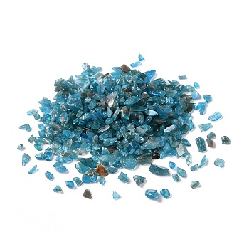 Natural Apatite Chip Beads, No Hole/Undrilled, 2~12x2~10x1~3mm, about 11200pcs/1000g