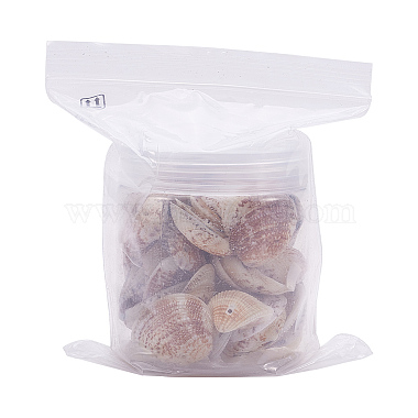 1 caja conchas de almeja concha de almeja teñida de cuentas con agujeros para hacer artesanías 40-50pcs(BSHE-YW0001-01)-5