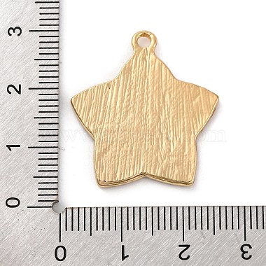 Alloy Enamel Pendants(ENAM-M009-01B-G)-3