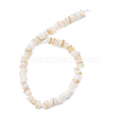 Natural Freshwater Shell Beads Strands(SH-CBA2978-01)-3