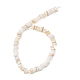 Natural Freshwater Shell Beads Strands(SH-CBA2978-01)-3