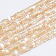 Natural Trochid Shell/Trochus Shell Beads Strands, Column, Bisque, 3.5~4x2~2.5mm, Hole: 0.8mm, about 176pcs/strand, 15.94 inch(40.5cm)(SSHEL-L016-13B)