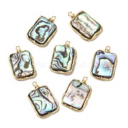 Natural Abalone Shell/Paua Shell Pendants, Copper Wire Wrapped Rectangle Charms, Real 14K Gold Plated, 22.5x14.5x3.5mm, Hole: 1.5mm(KK-K236-01G)