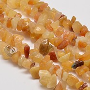 Natural Yellow Aventurine Chip Beads Strands, 5~8x5~8mm, Hole: 1mm, about 34 inch(G-L269-36)