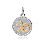 316 Stainless Steel Pendants, Flat Round, with Constellation/Zodiac Sign, Capricorn, 26x18x3mm, Hole: 5mm(including jump ring)(STAS-S045-40J)