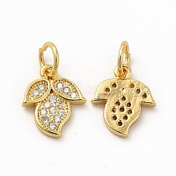 Rack Plating Brass Micro Pave Cubic Zirconia Charms, with Jump Ring, Real 18K Gold Plated, Long-Lasting Plated, Flower Charm, Real 18K Gold Plated, 11x9x2mm, Hole: 3.6mm(ZIRC-M120-10G)