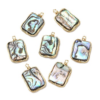 Natural Abalone Shell/Paua Shell Pendants, Copper Wire Wrapped Rectangle Charms, Real 14K Gold Plated, 22.5x14.5x3.5mm, Hole: 1.5mm