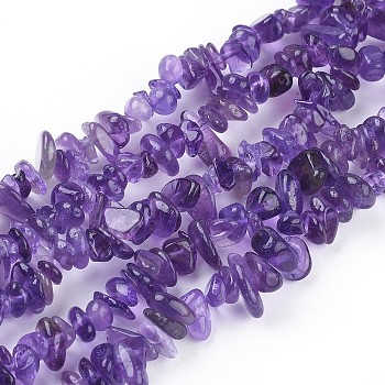 Natural Amethyst Beads Strands, Chips, 5~8mm, Hole: about 0.6mm, about 31~32 inch long
