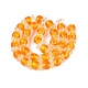 Innere Blume(LAMP-Q039-13B)-2