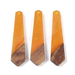 Resin & Wood Pendants, Tie Shaped Charms, Orange, 49x12x3.5mm, Hole: 2mm(WOOD-F015-05E)