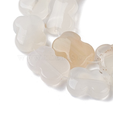 Natural White Agate Beads Strands(G-K359-D02-01)-4