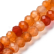 Natural Red Agate(Dyed & Heated) Beads Strands, Faceted, Rondelle, 8x5.5~6mm, Hole: 1mm, about 65~66pcs/strand, 15.55~15.75''(39.5~40cm)(G-K380-A49-07)